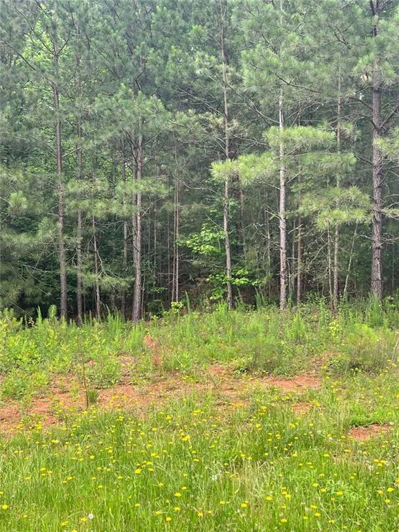 White, Georgia 30184, United States, ,Land,Active,174303