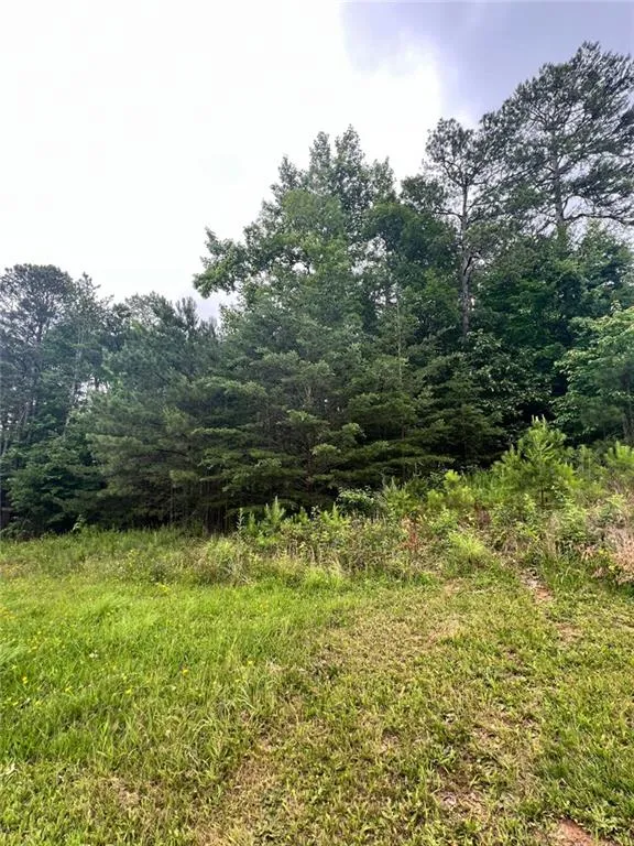 White, Georgia 30184, United States, ,Land,Active,174303