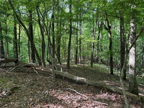 Vacant Land For Sale - 00 High Shoals Drive Dr<br/> Lumpkin County, Dahlonega, GA 30533