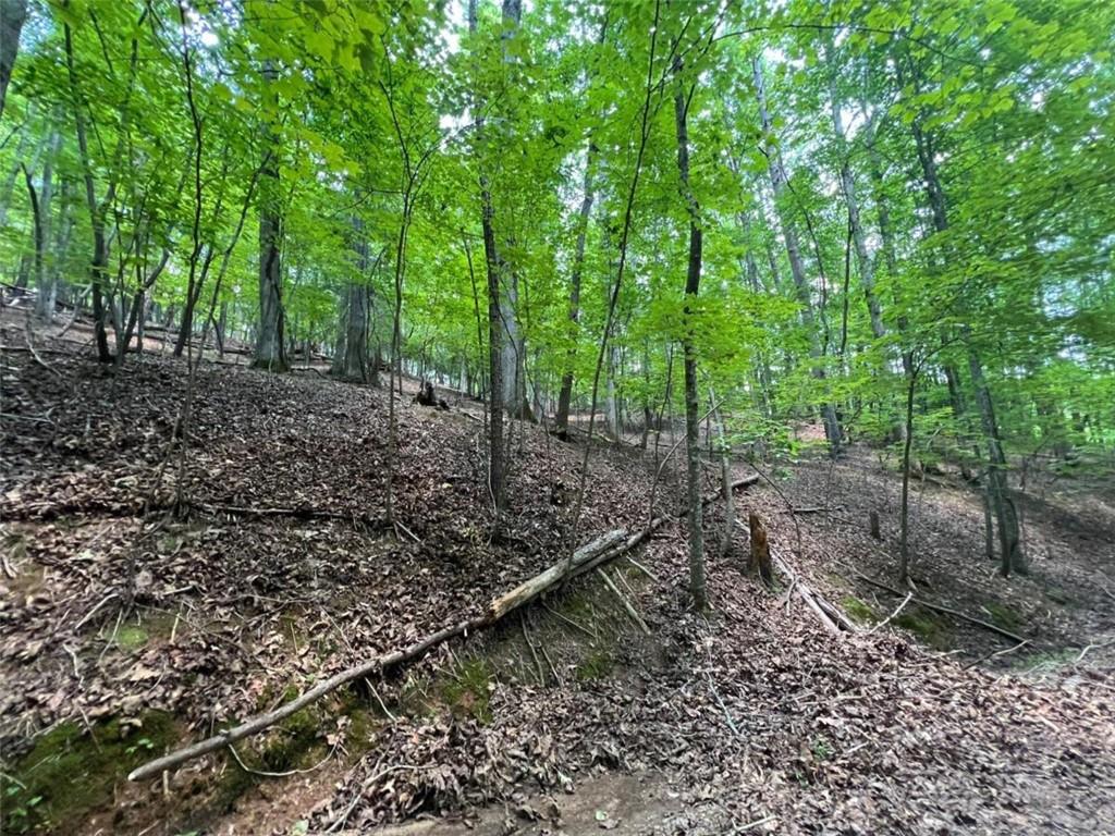 Nimrod Court, Ellijay, Georgia image 9