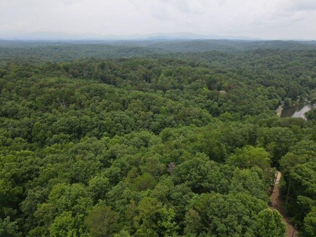 Nimrod Court, Ellijay, Georgia image 4