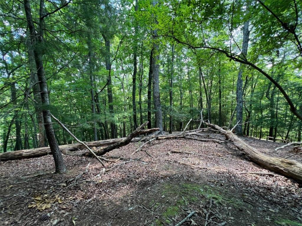 Nimrod Court, Ellijay, Georgia image 15