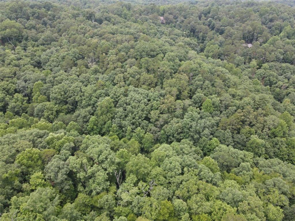 Nimrod Court, Ellijay, Georgia image 6