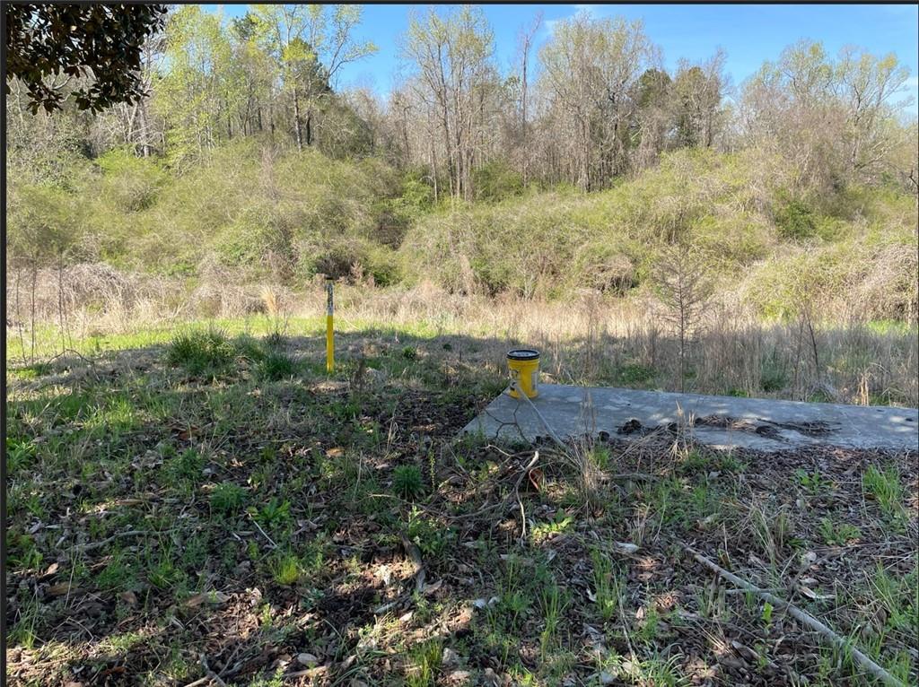 Photo 1 of 5 — 205 Hunt Circle, Manchester, GA 31816