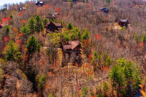 A home in Mineral Bluff