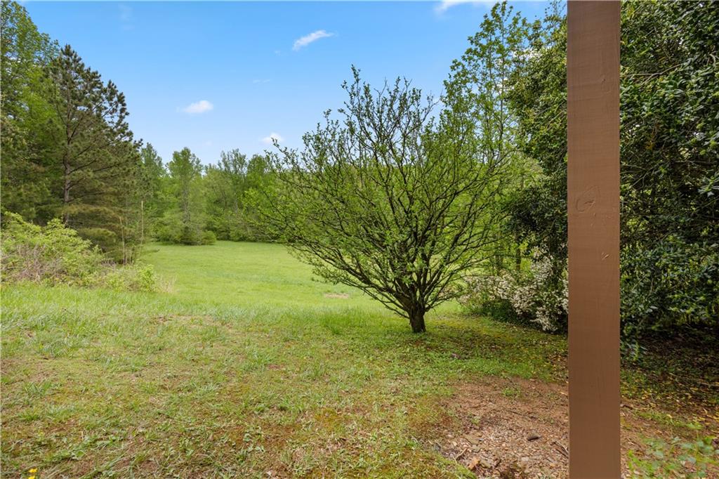908 Long Road, Ranger, Georgia image 38