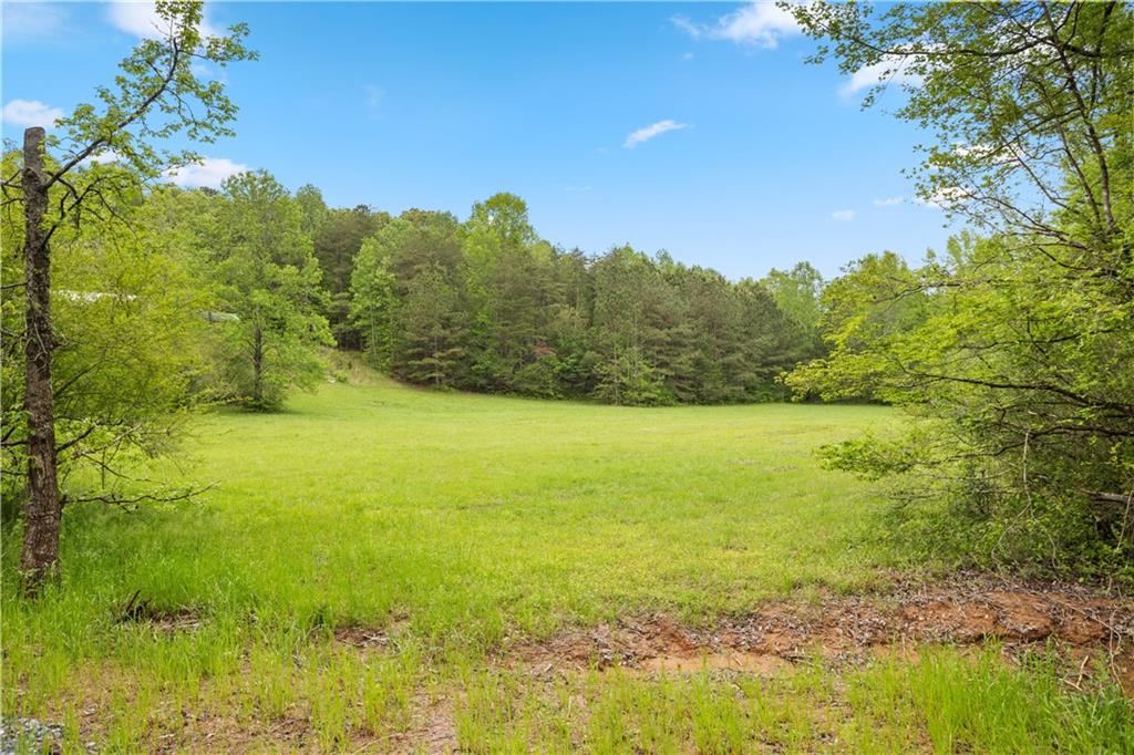 908 Long Road, Ranger, Georgia image 44