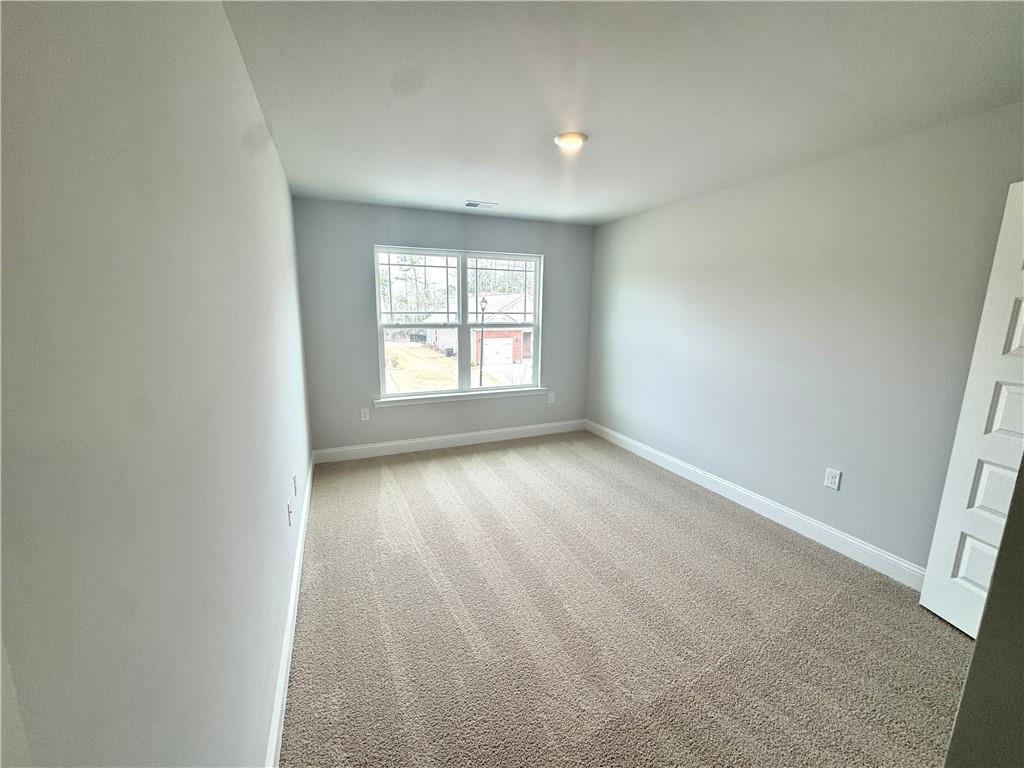 113 Vineyard Walk, Carrollton, Georgia image 20