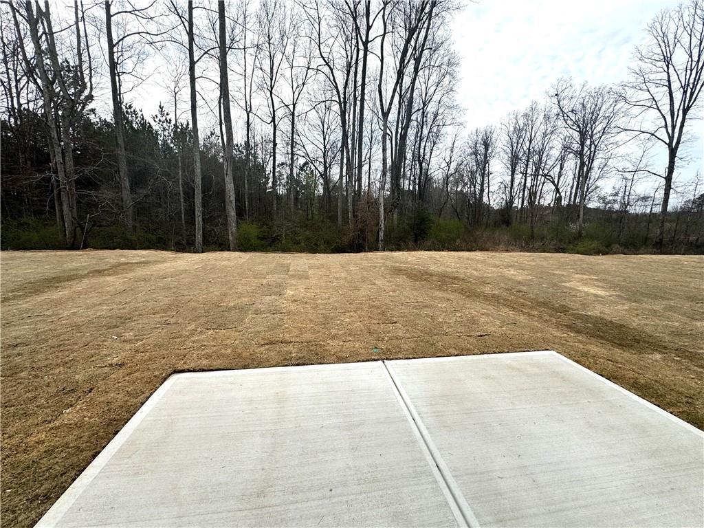 113 Vineyard Walk, Carrollton, Georgia image 21