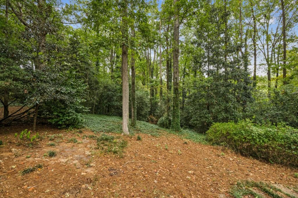 1708 Mason Mill Road NE