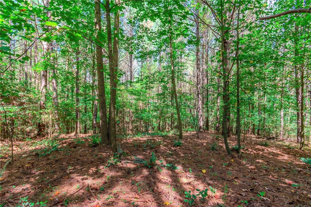 LOT 26 Foxpaw Leaf Lane