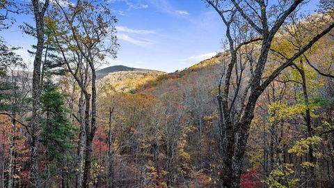 A home in Ellijay