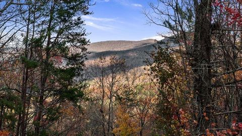 A home in Ellijay