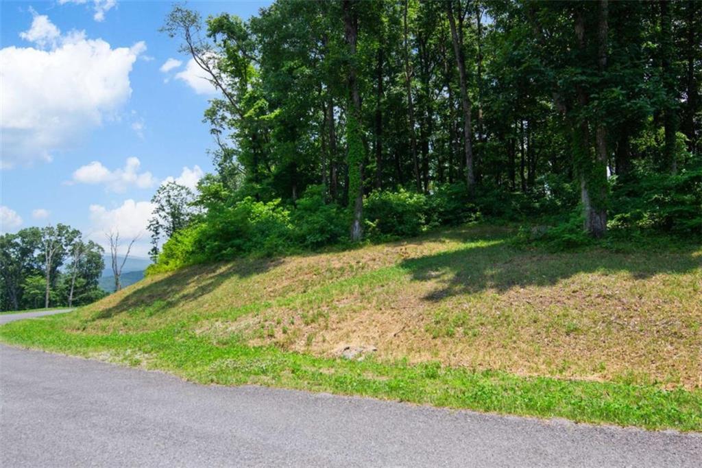 LOT 56 High Summit Dr, Talking Rock, Georgia image 8