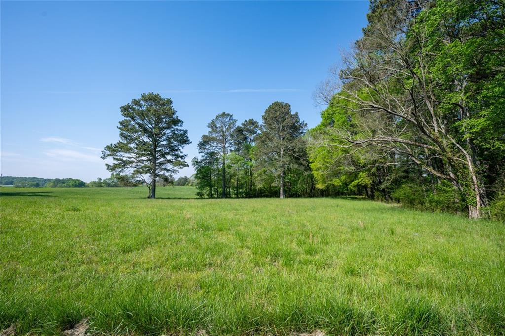 291 Folsom Glade Road, Rydal, Georgia image 6