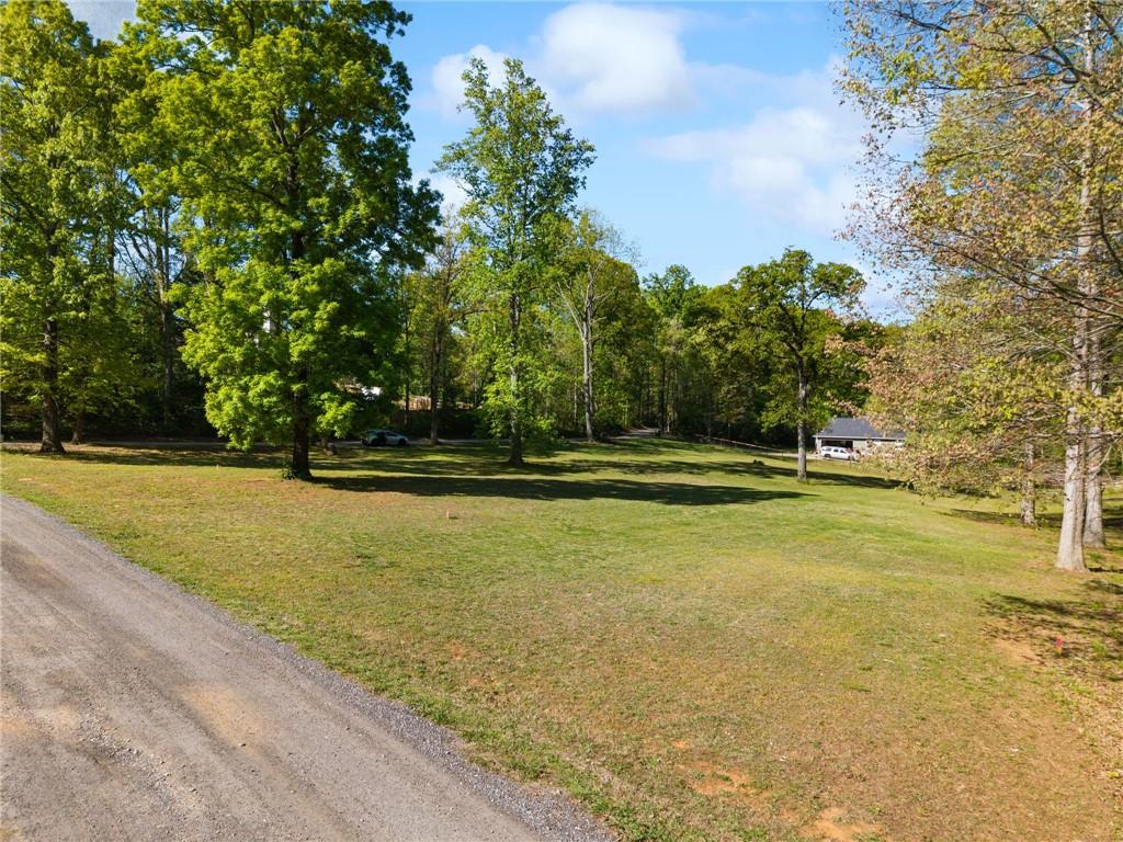 00 Pollys Bluff