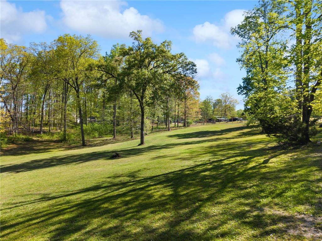 00 Pollys Bluff