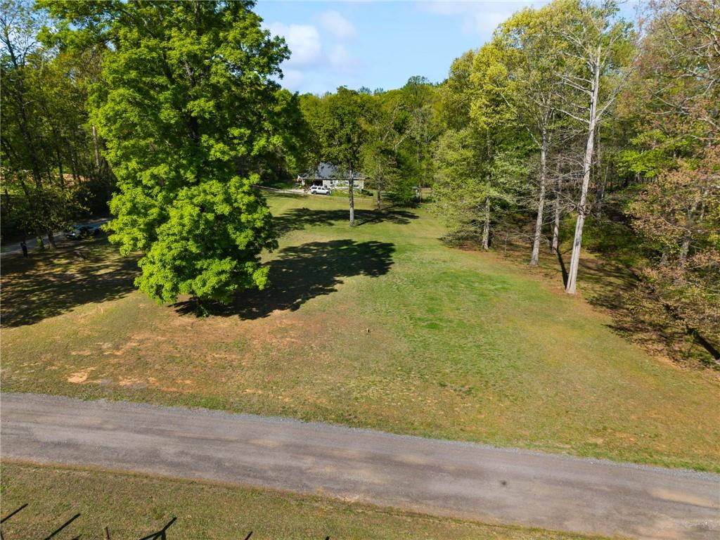 00 Pollys Bluff