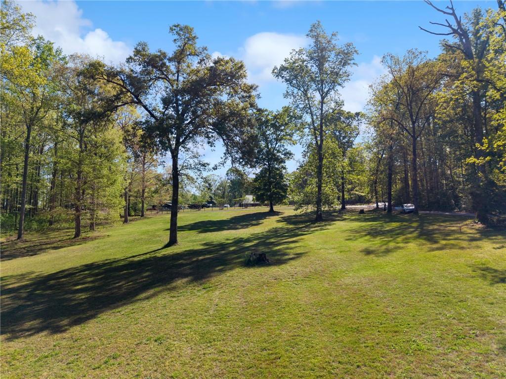 00 Pollys Bluff