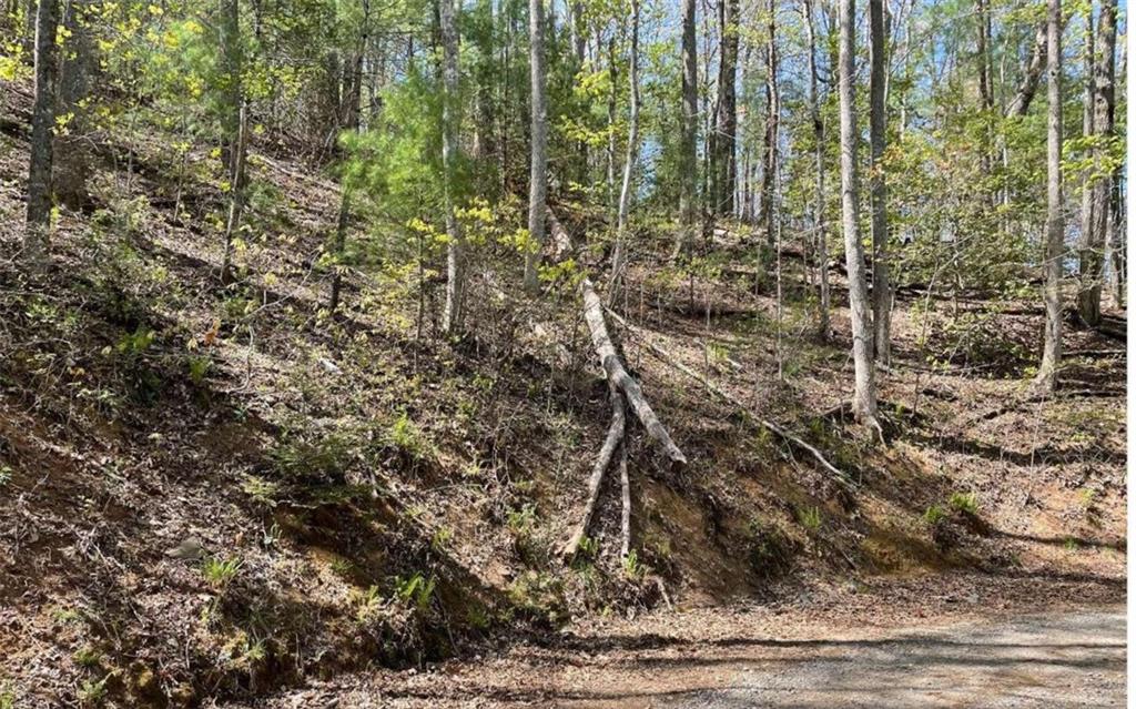 Lot 5 Soapstone Creek Circle, Hiawassee, Georgia image 13