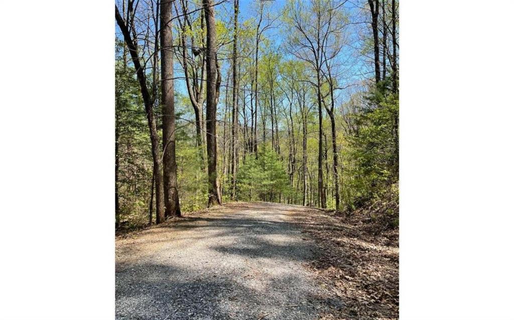 Lot 5 Soapstone Creek Circle, Hiawassee, Georgia image 17