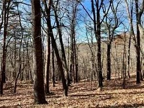 1520 Moss Patch Trail