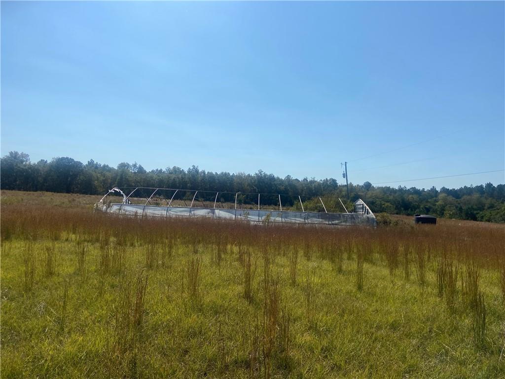 1339 Jones Chapel Road