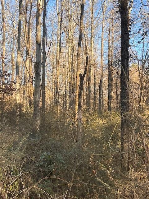 3210 Butner Camp Creek Parkway