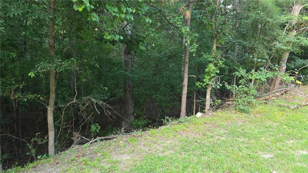 1628 Norris Landing Drive