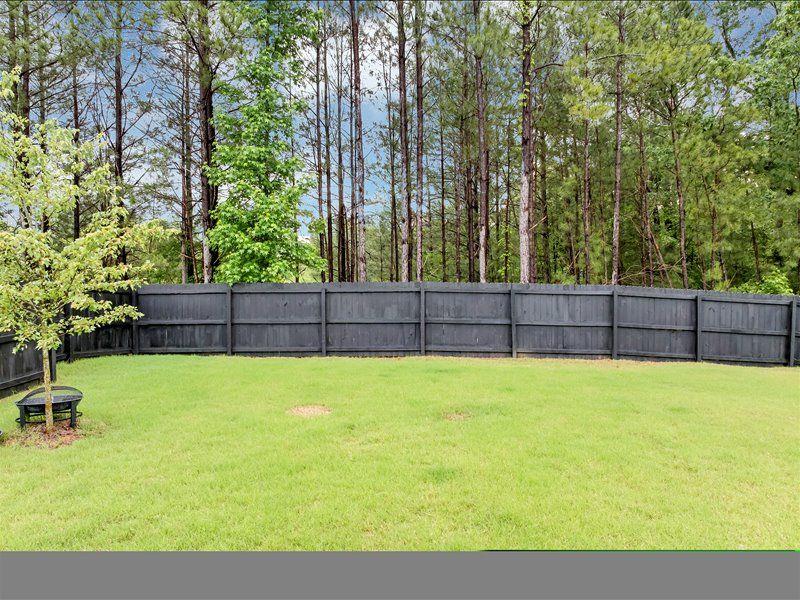 201 Kingfisher Walk, Covington, Georgia image 39