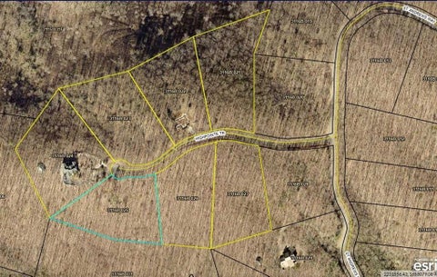 Vacant Land For Sale - Highpointe Trail<br/> Ellijay, GA 30536