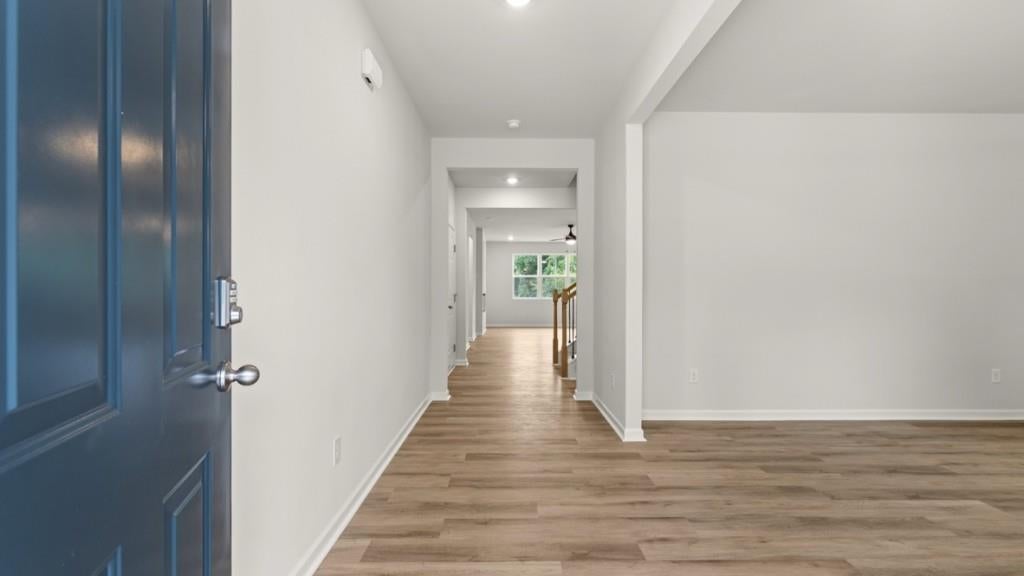 3121 Hallsley Drive
