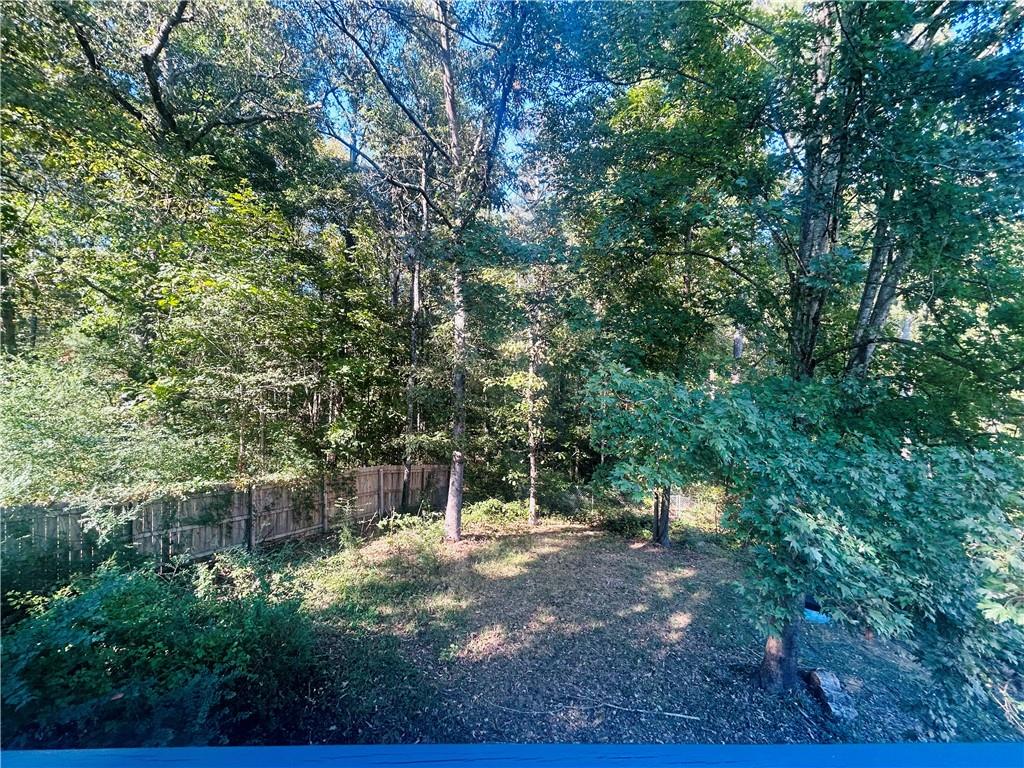 102 Collins Way, Douglasville, Georgia image 13