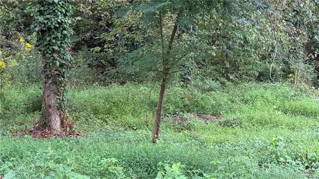 5165 Thompson Mill Road