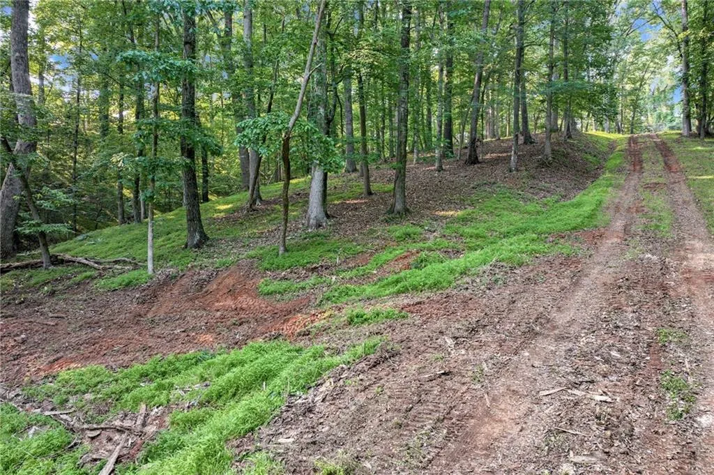 Dawsonville, Georgia 30534, United States, ,Land,Active,145707