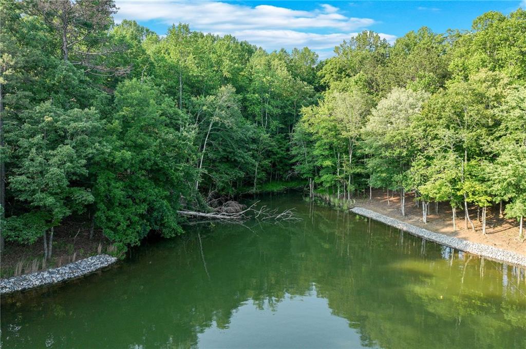 2020 War Hill Park Road, Dawsonville, Georgia image 22
