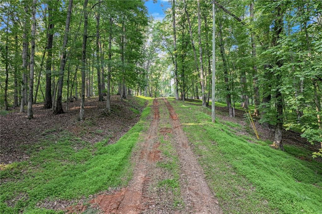 2020 War Hill Park Road, Dawsonville, Georgia image 11