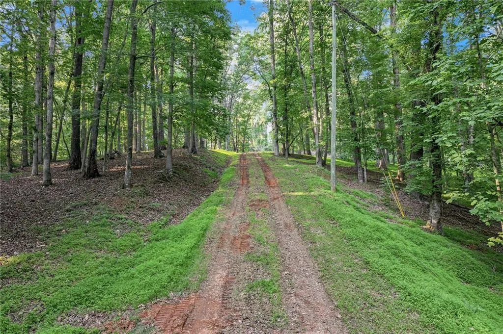 Dawsonville, Georgia 30534, United States, ,Land,Active,145707