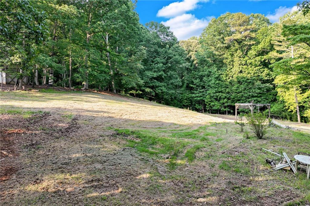 2020 War Hill Park Road, Dawsonville, Georgia image 16