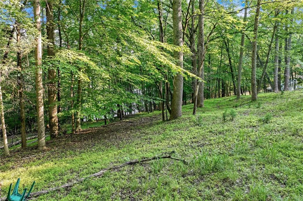 Dawsonville, Georgia 30534, United States, ,Land,Active,145707