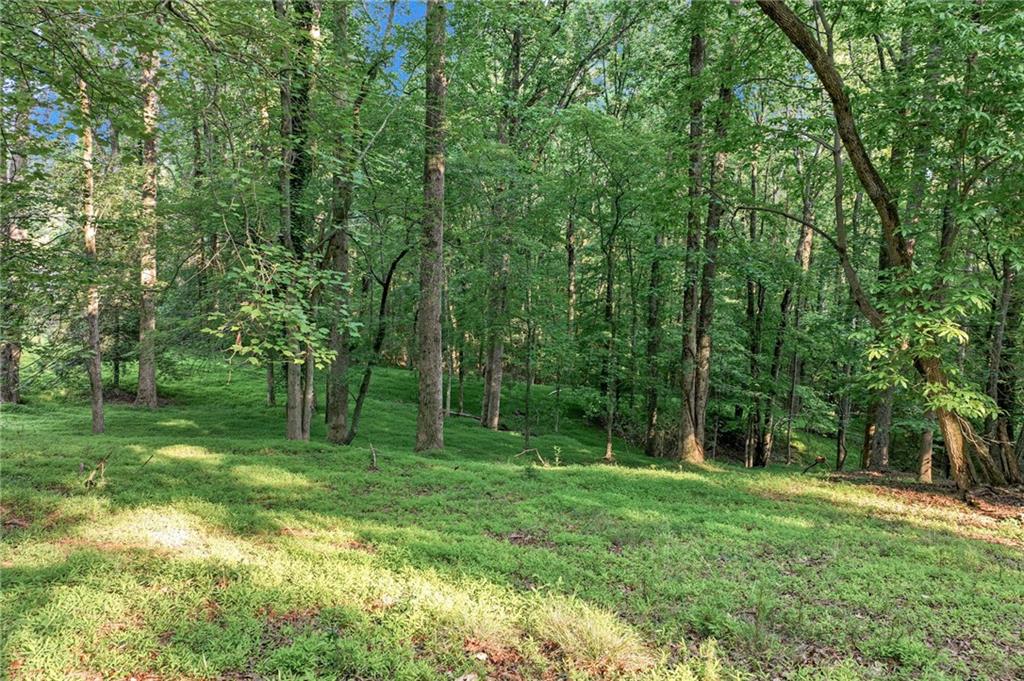 2020 War Hill Park Road, Dawsonville, Georgia image 7