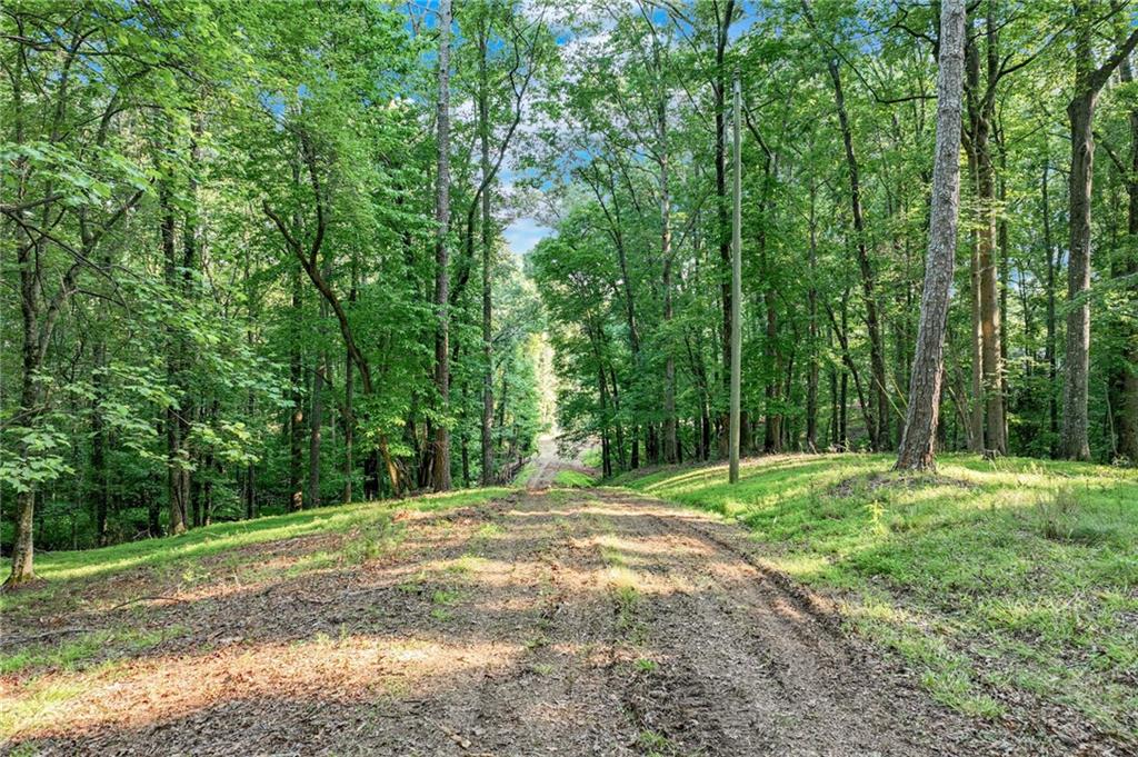 2020 War Hill Park Road, Dawsonville, Georgia image 6