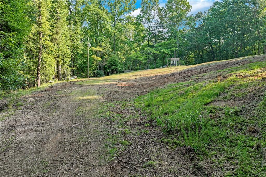2020 War Hill Park Road, Dawsonville, Georgia image 13