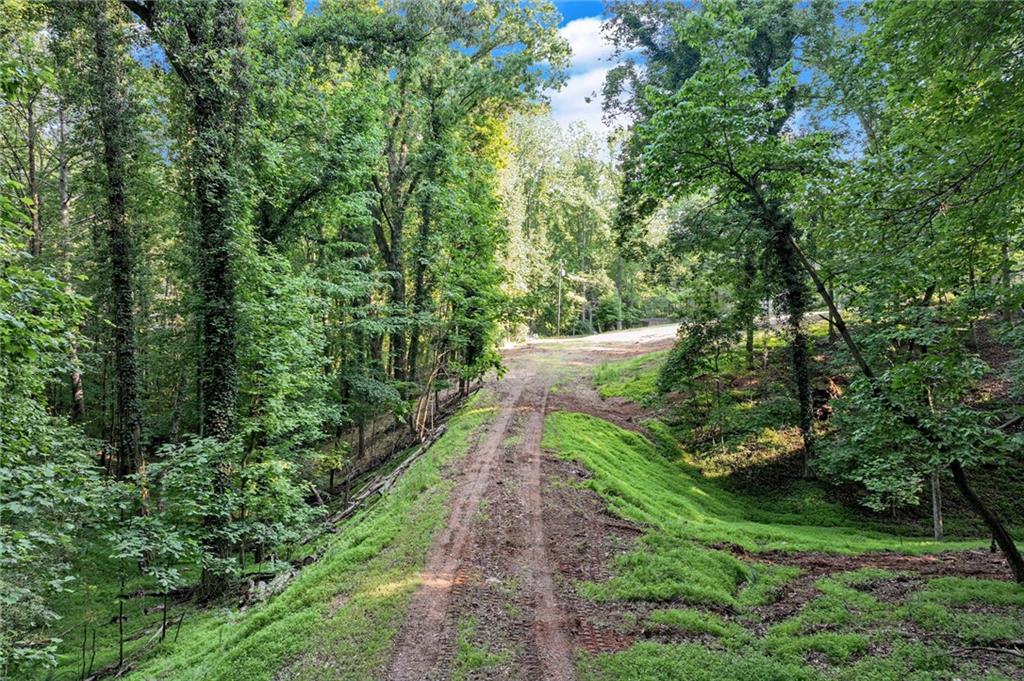 2020 War Hill Park Road, Dawsonville, Georgia image 8