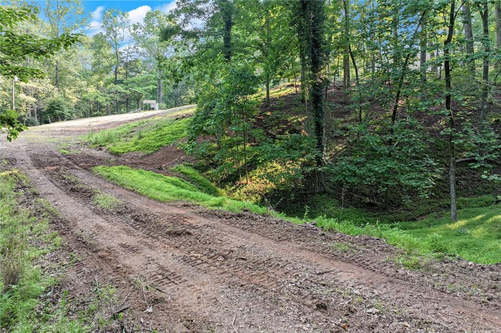 2020 War Hill Park Road, Dawsonville, Georgia image 9