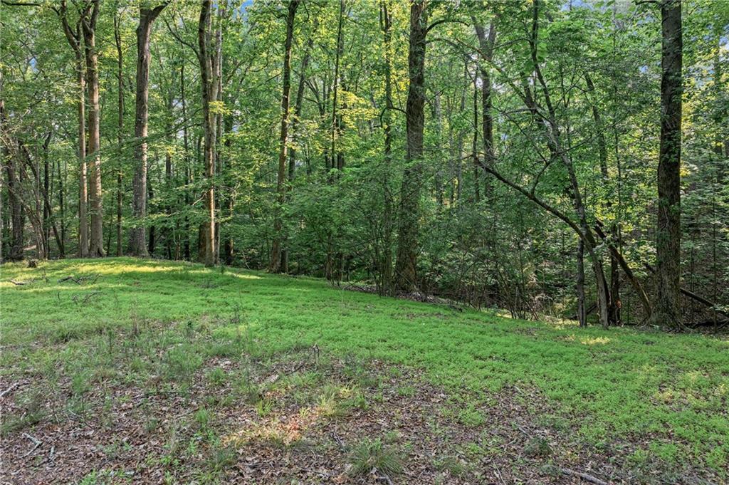 2020 War Hill Park Road, Dawsonville, Georgia image 12