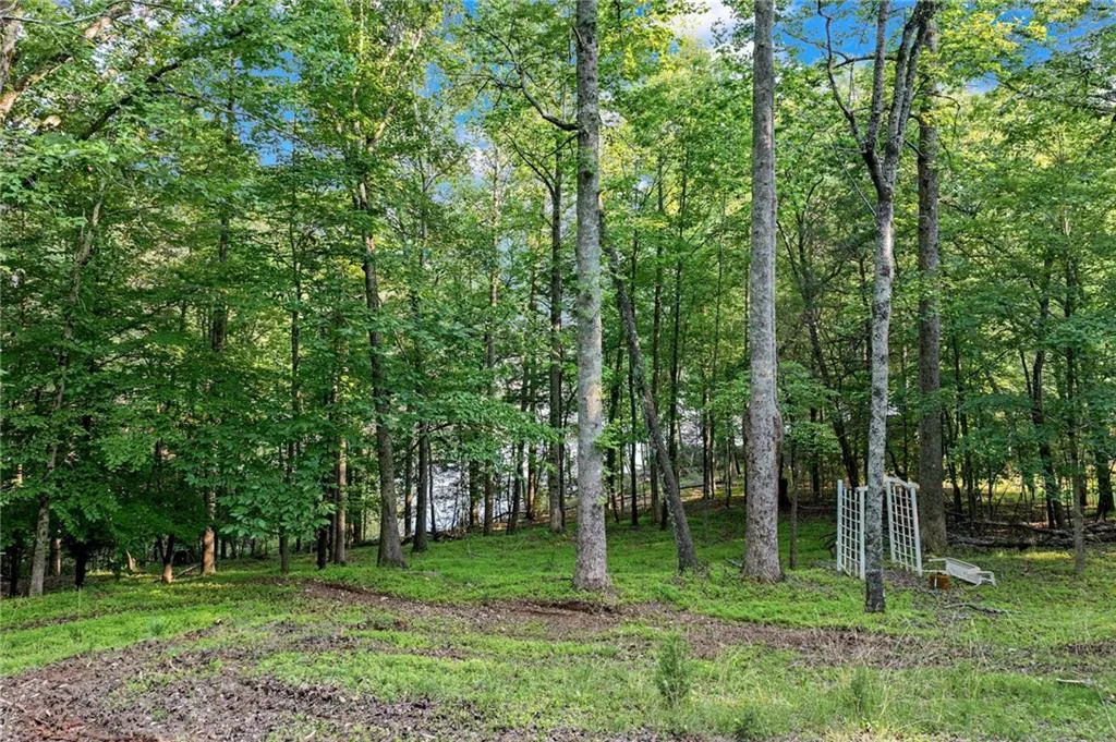 Dawsonville, Georgia 30534, United States, ,Land,Active,145707