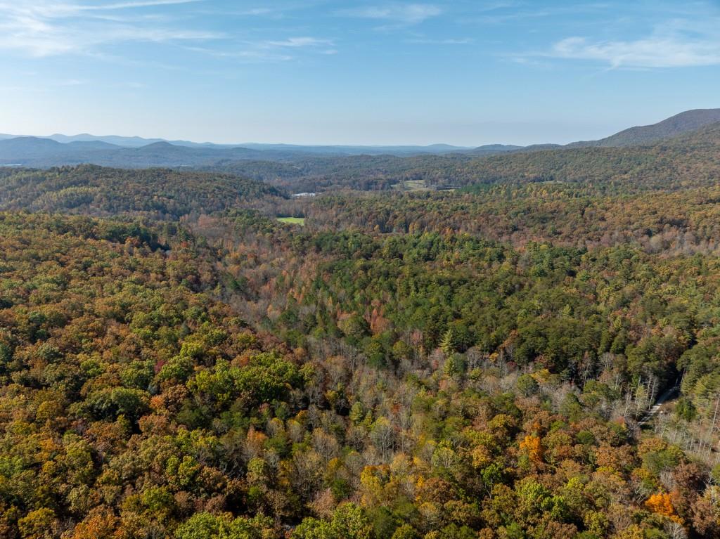 51.96 Laughing Bird Lane, Ellijay, Georgia image 30