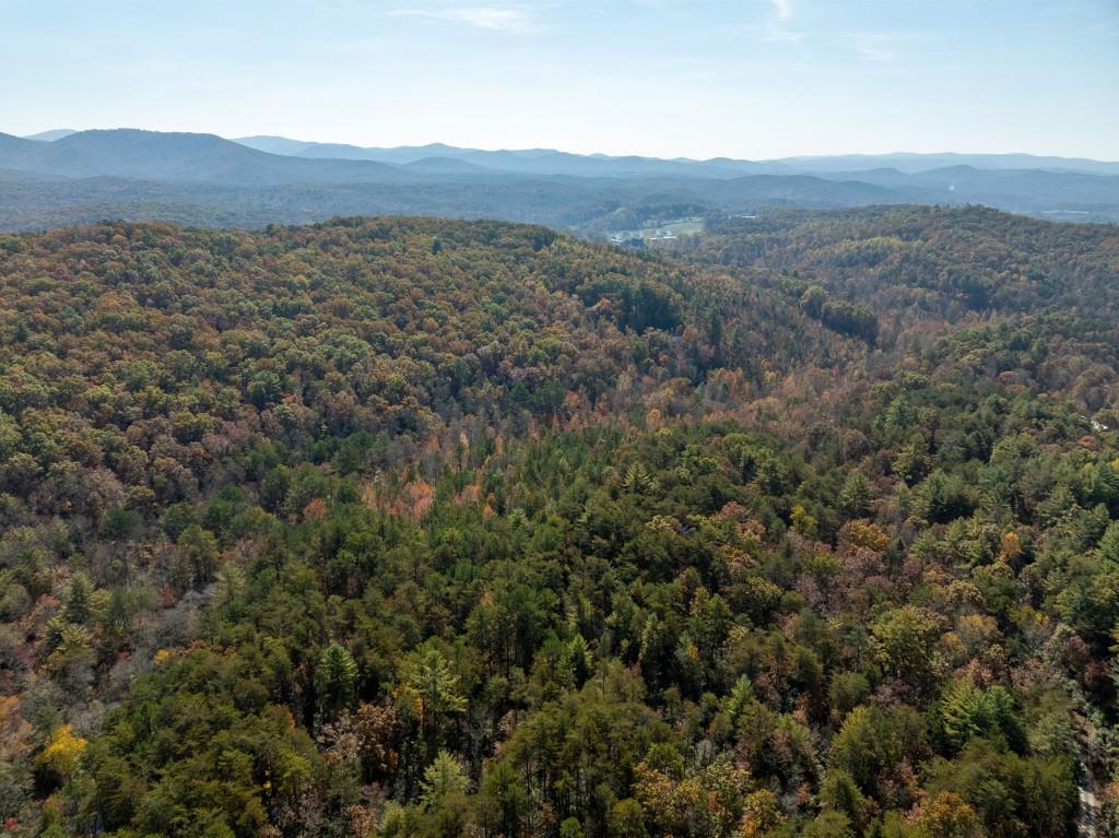 51.96 Laughing Bird Lane, Ellijay, Georgia image 32