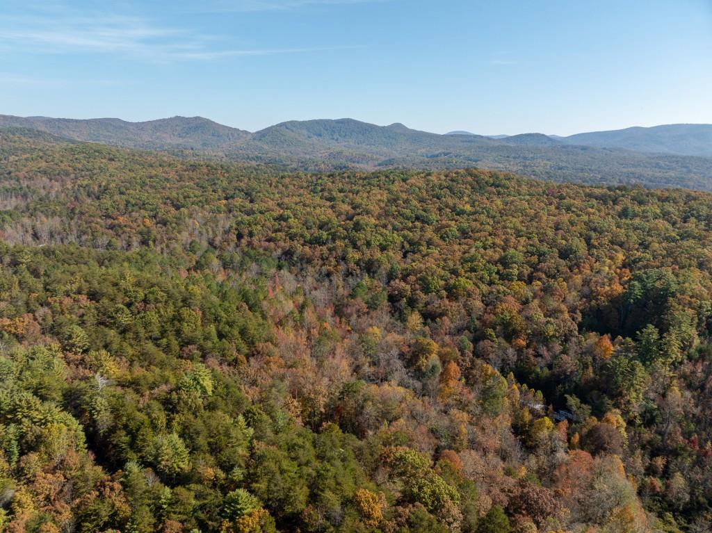 51.96 Laughing Bird Lane, Ellijay, Georgia image 25